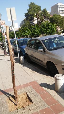 Φωτογραφία 2